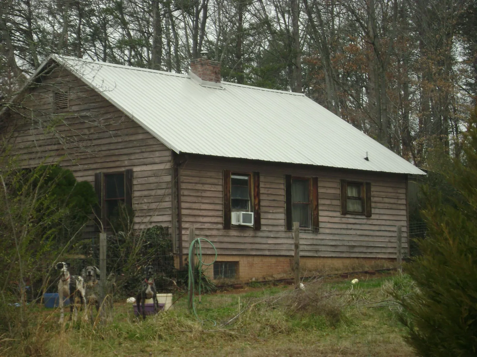 White metal roof on an old wood sided farmhouse, from a Metal Roof Installation job in Bonners Ferry
